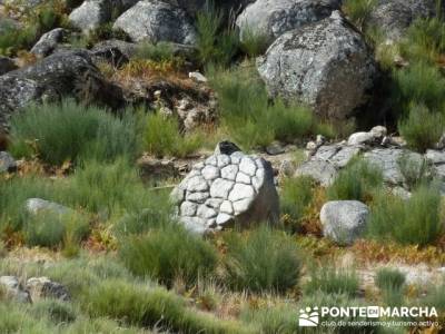 Parque Natural Naturtejo, gente senderista; sierra del guadarrama